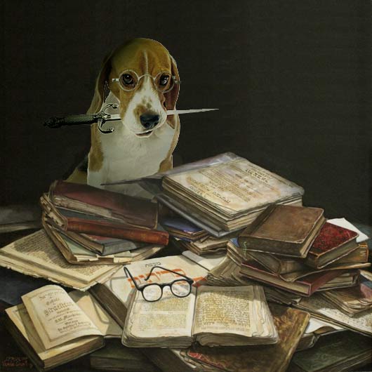 2013_30_Beagle_Sefarim_Books_by_VardaGinsburg