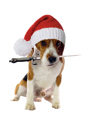 2013_45_Beagle_Santa_KnitHat