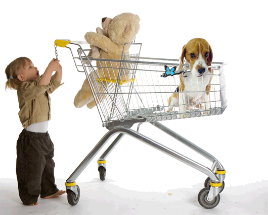 2014_48_Beagle_ShoppingCart