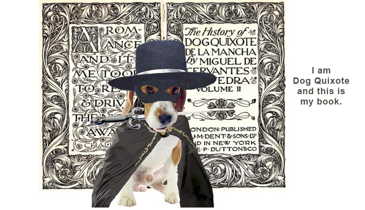 2015_07_Beagle_DogQuixote-Zorro740