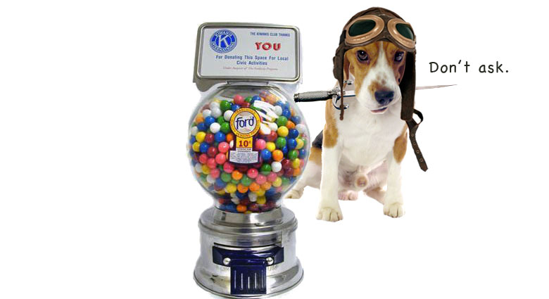 2015_36_Beagle_Gumball_Aviator