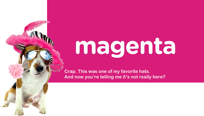 2015_41_Magenta_Beagle_780