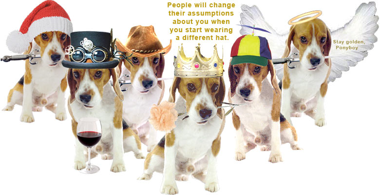 2015_46_TheBeagleHalfDozen_780