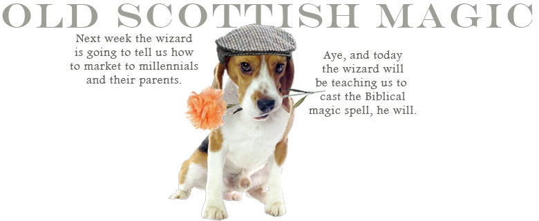 2015_50_BeagleFlatcap_HowToMagic