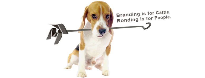 2015_51_Beagle_BrandingIsForCattle