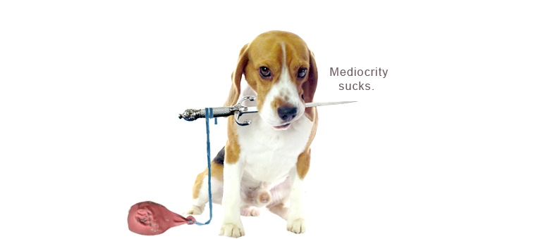 2015_52_Beagle_Balloon_Mediocrity