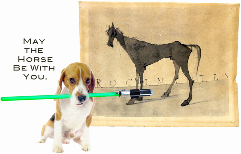 2016_03_Beagle_Indy_MayTheHorseBeWithYou