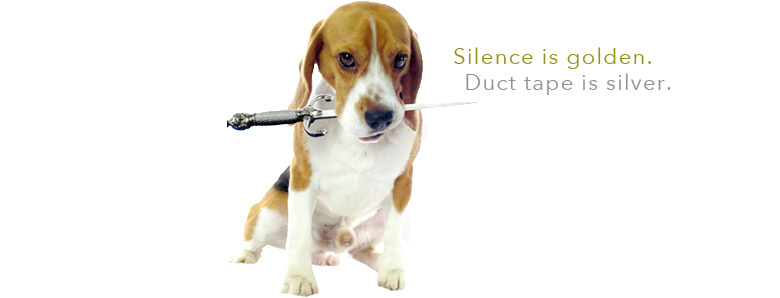 2016_18_Silence_is_Golden_Beagle