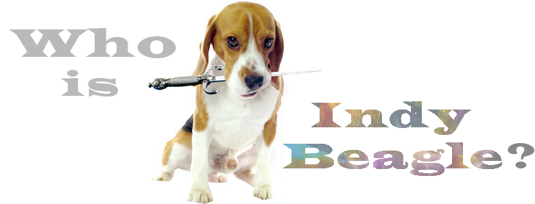 2016_21_Who_is_Indy_Beagle_4_780